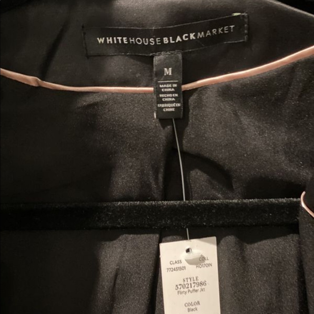Jacket - Picture 3 of 5